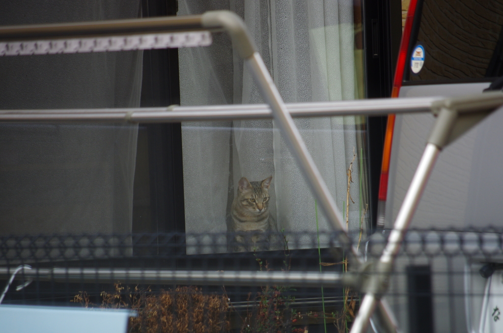 窓の外には