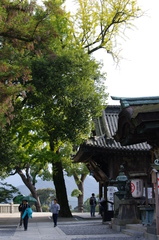 ご神木と三穂津姫社。
