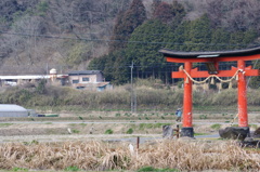 街中の鳥居