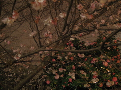 ぴんく