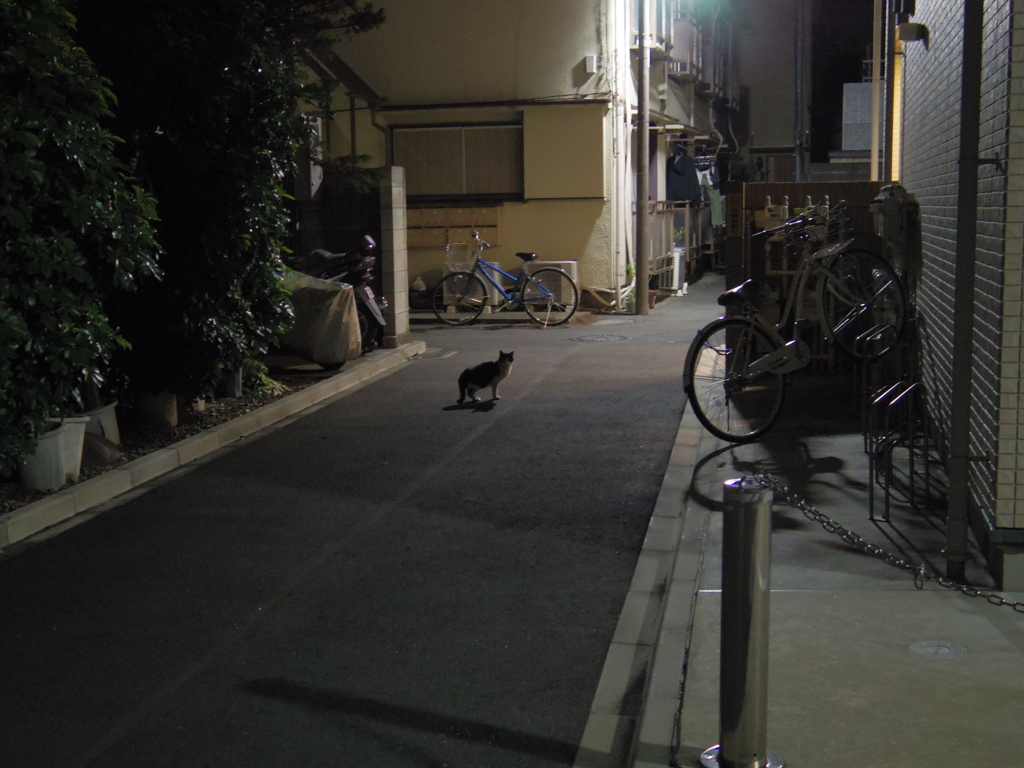 路地裏