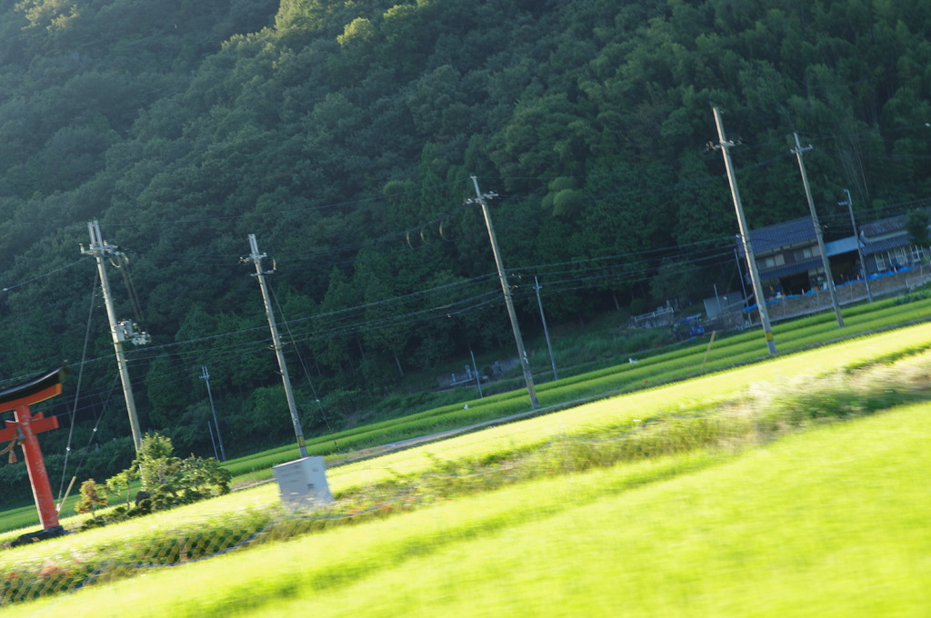 鳥居のある村