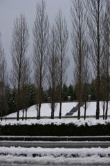 雪　樹　空　