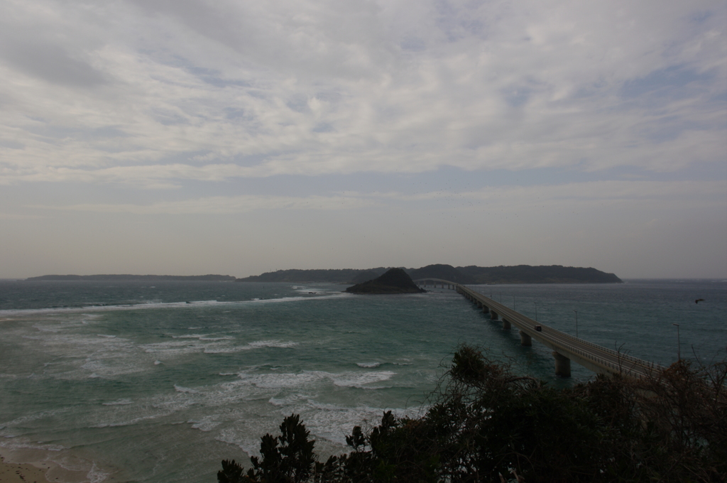 いざ角島へ