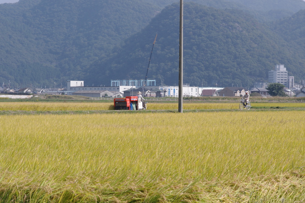 一騎打ち