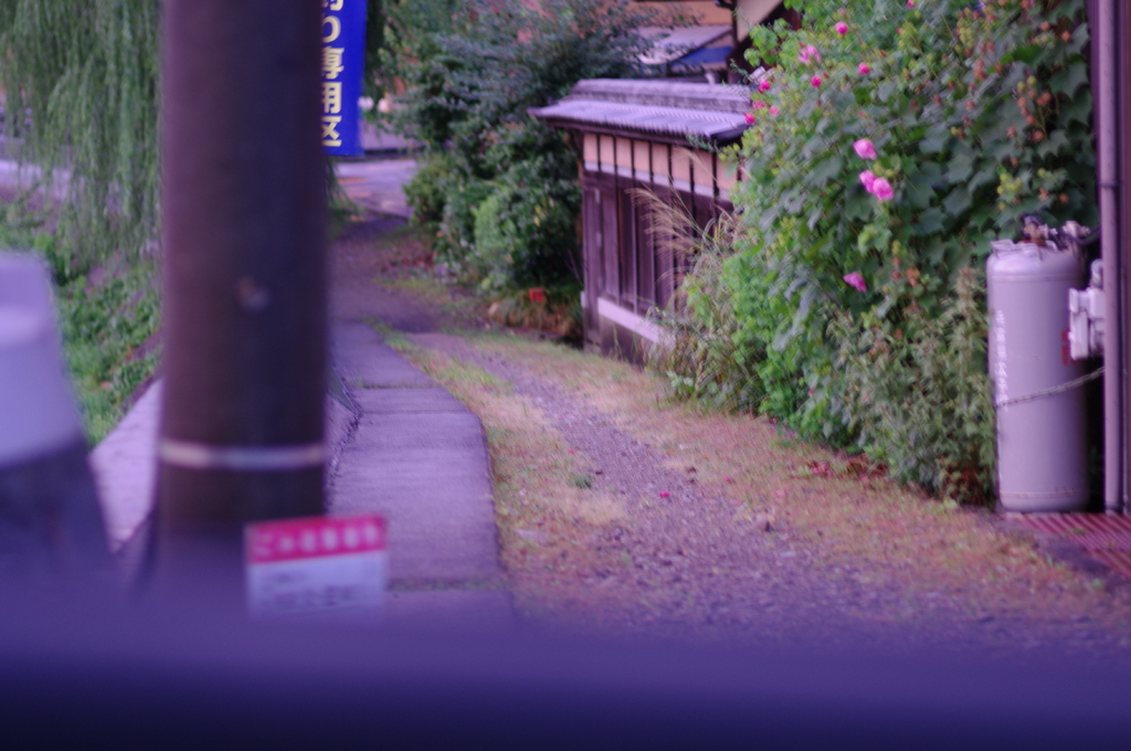 小道のむこう