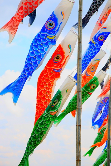 carp streamer