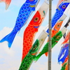 carp streamer