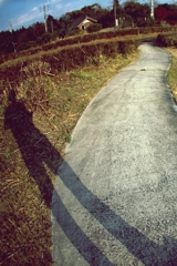 進むべき道