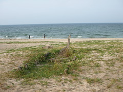 弓ヶ浜・砂に埋もれた船