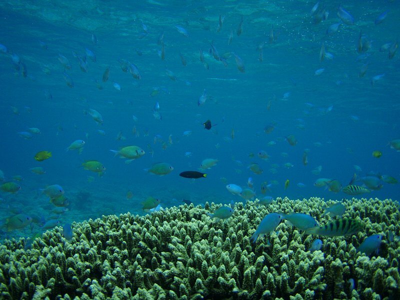 慶良間・安慶名敷島