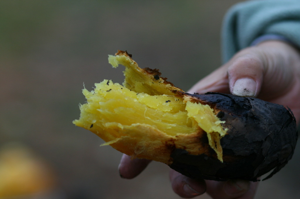 焚き火と言えば