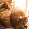 good sleeping