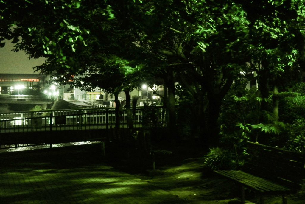 Bench at late night