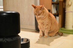 ひたすらに