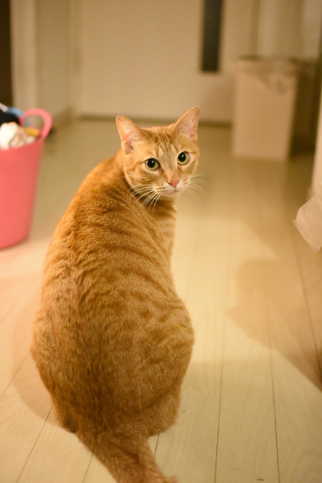 呼んだ？