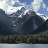 Milford sounds