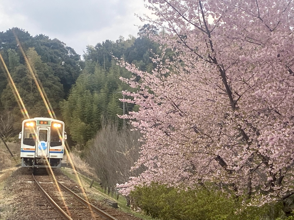 春の旅情