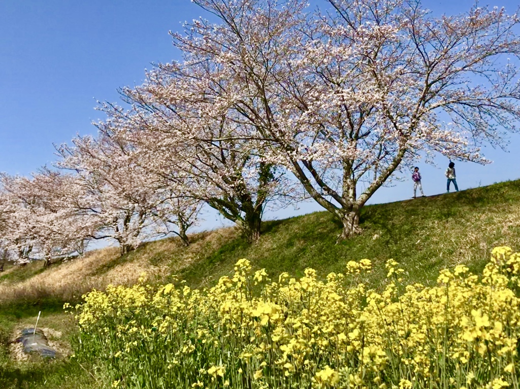 春はスケボーに乗って