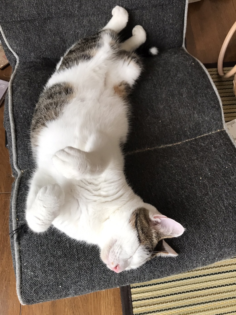 Relaxing 