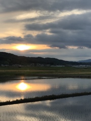 畦道の夕べ