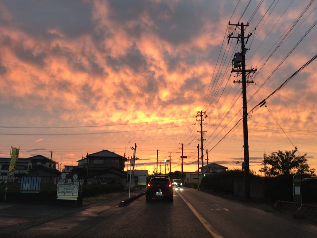 信号待ち