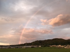 Over the rainbow 