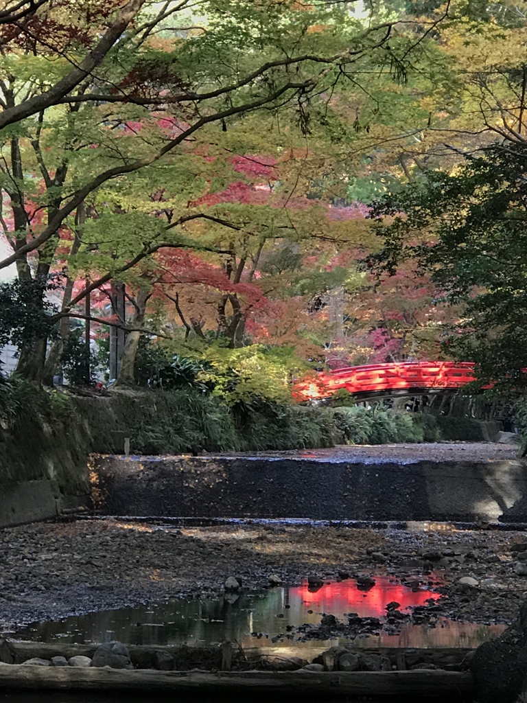 宮川の流れ