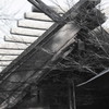 井伊谷宮
