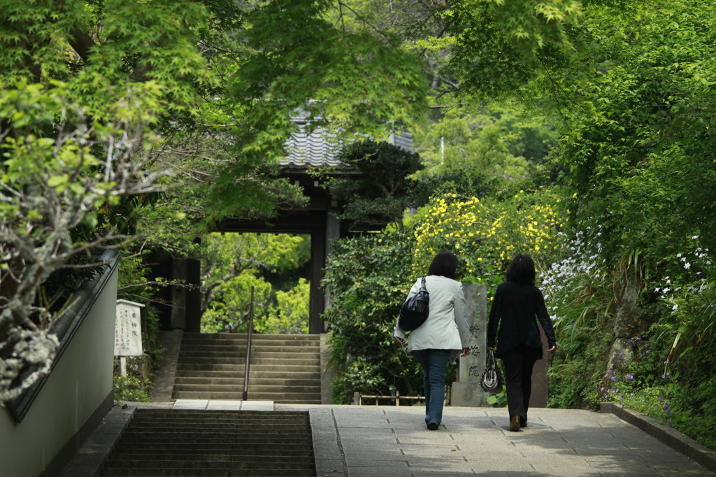 古寺巡礼