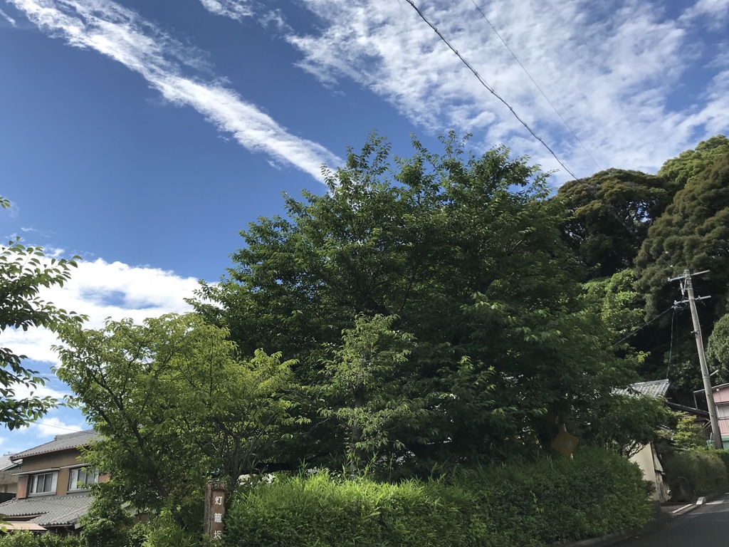 梅雨の晴れ間