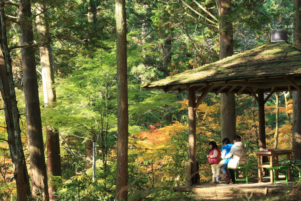 贅沢な眺め