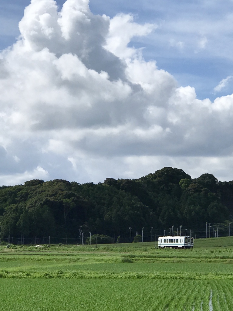 夏は来ぬ