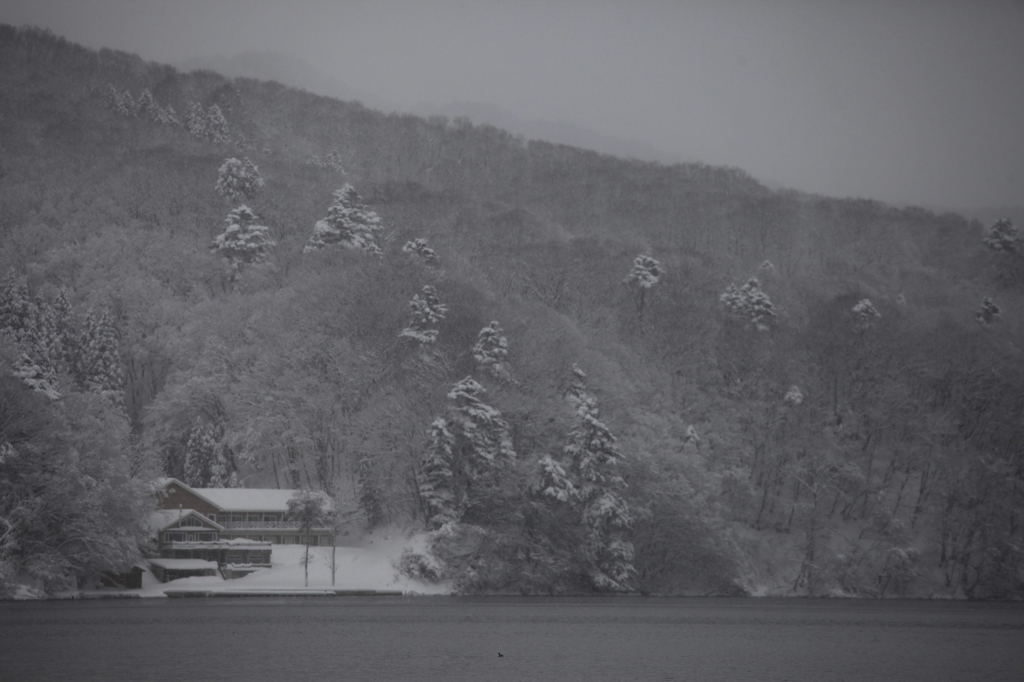 雪降る湖畔