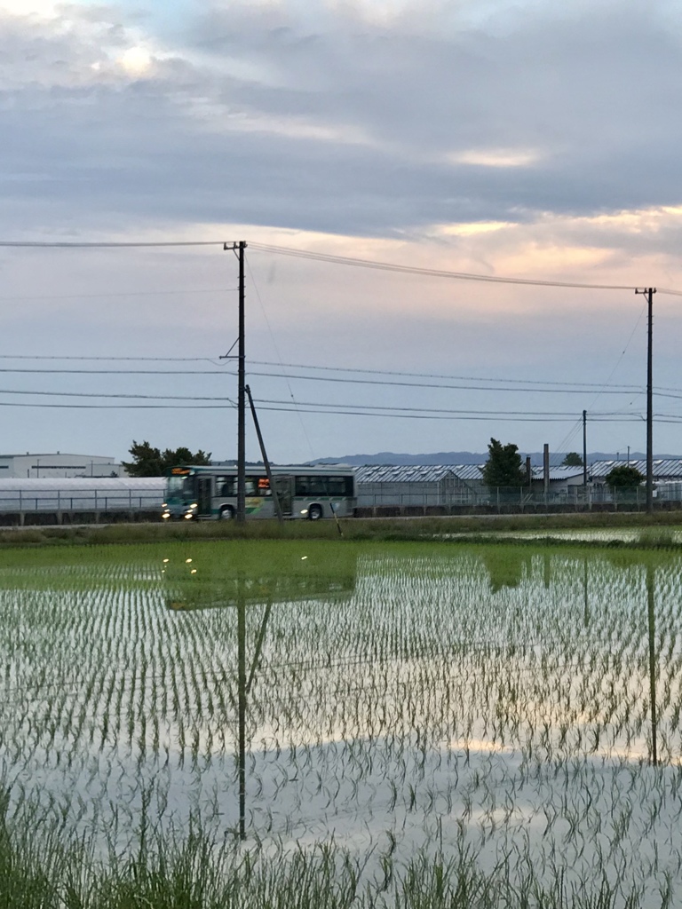 最終バスが通る