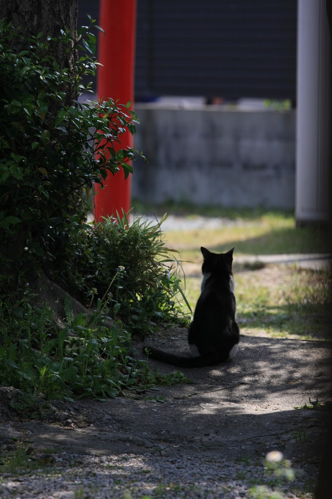 今日も生きる