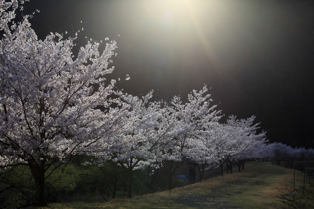 山間に春の夕暮れ