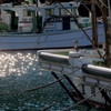 桜海老の漁港