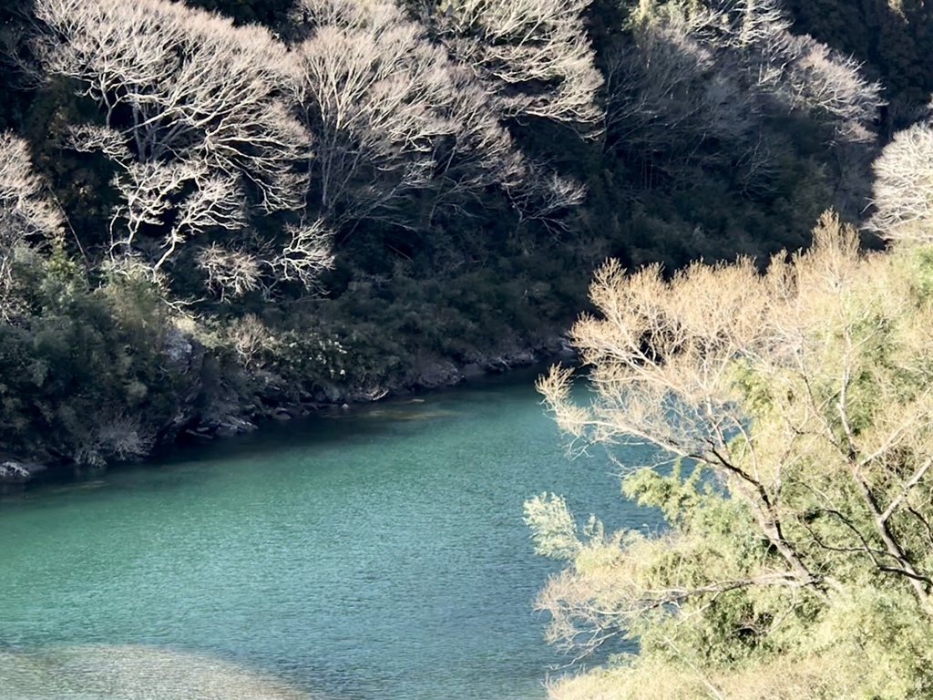 陽光の川面