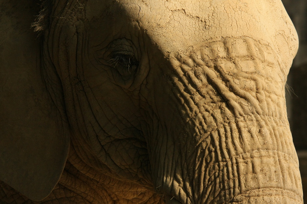 shadow　of your smile