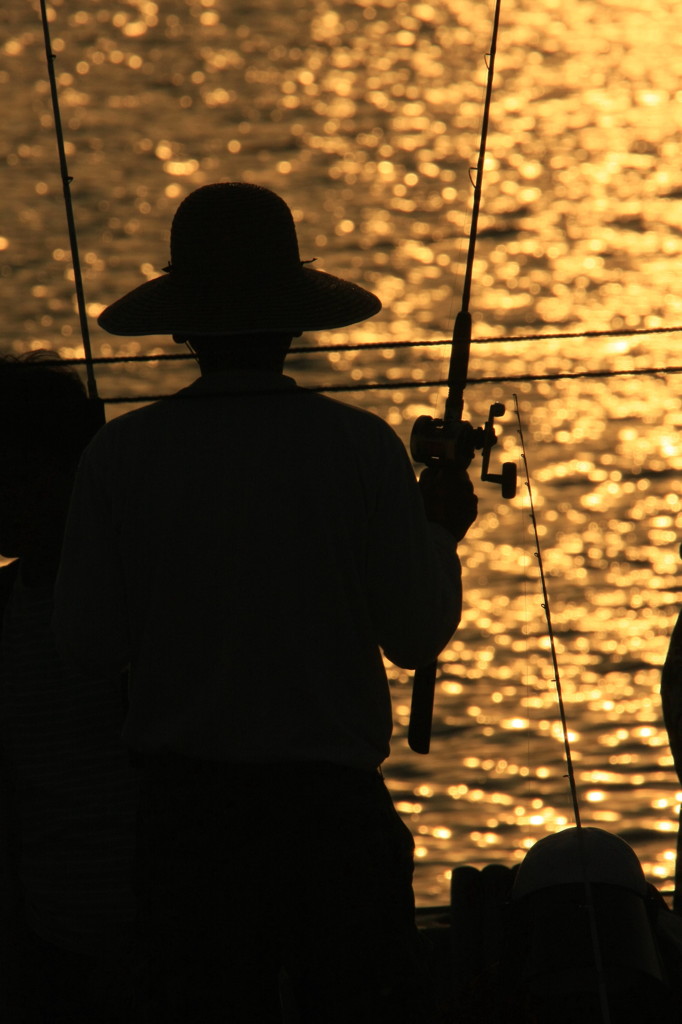 Shadow  fishing