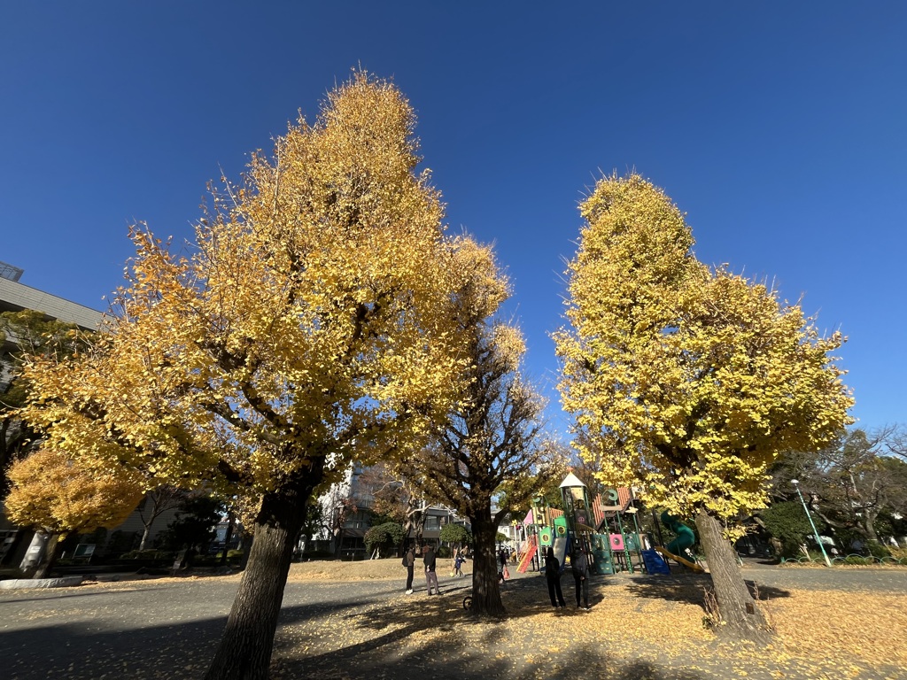 昼下がりの公園