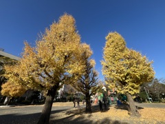 昼下がりの公園