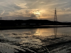 夕暮れ時の植田