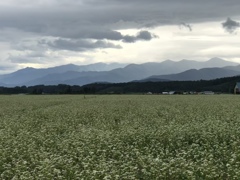 日高山脈はるか