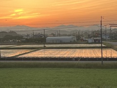 夏至