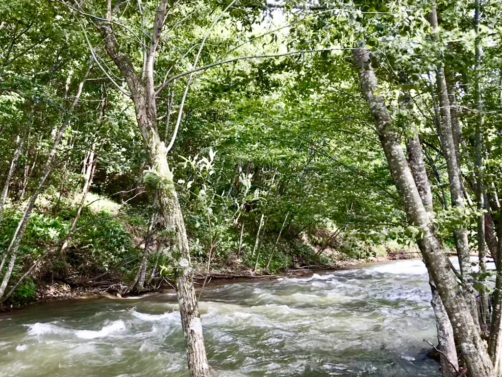 羊が水を飲む川 By タッポッポ Id 写真共有サイト Photohito 羊が水を飲む川 By タッポッポ Id 写真共有サイト Photohito