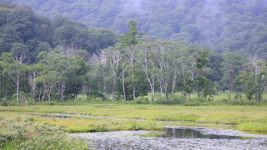 山と沼の間