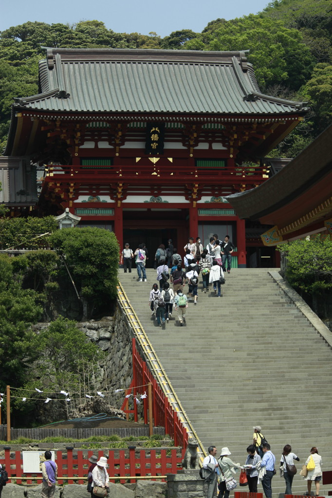 大銀杏の跡