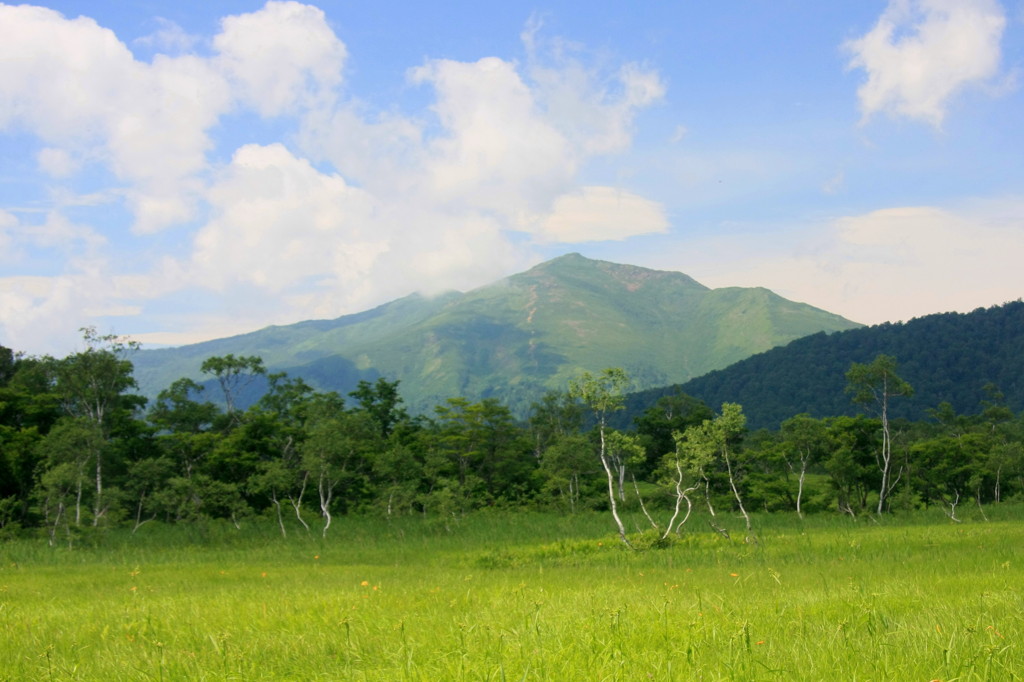あの山の麓まで